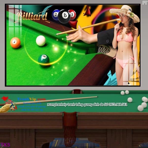 Tranh treo tường quán bida billiards bi a tay cơ trọc TK5