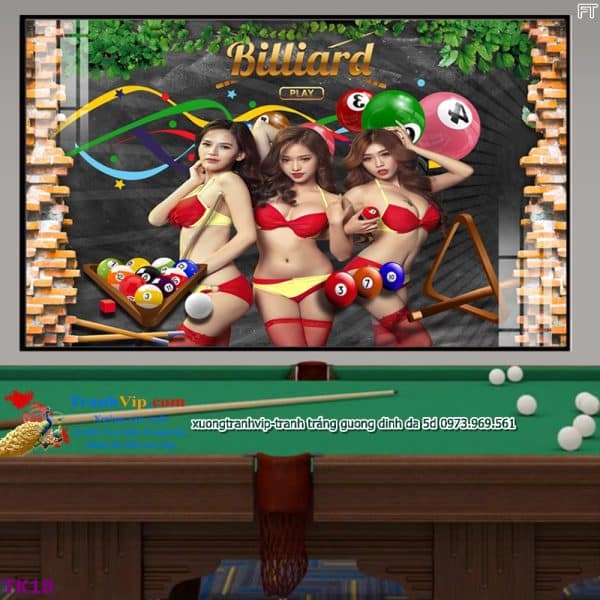 tranh trang guong trang tri quan bida billiards bi a co gai goi cam tk18